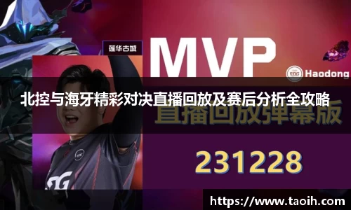 伟德bv国际体育