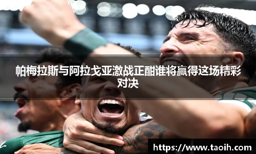 帕梅拉斯与阿拉戈亚激战正酣谁将赢得这场精彩对决