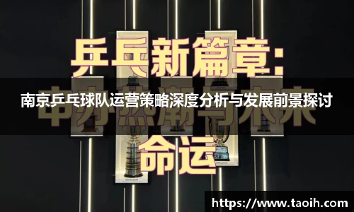 南京乒乓球队运营策略深度分析与发展前景探讨